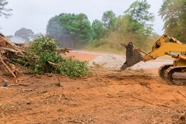 Forestry Mulching Service in Riverton