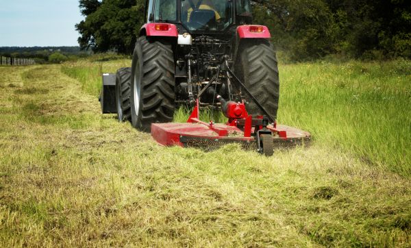 Brush Clearing Service in Riverton