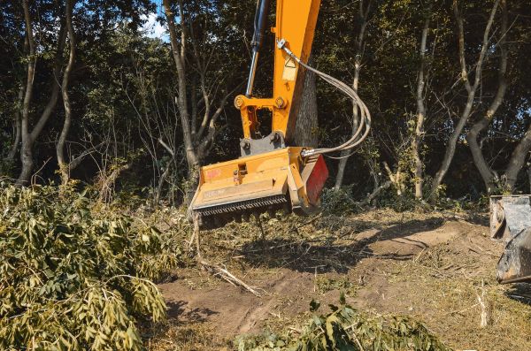 Brush Removal Service in Riverton