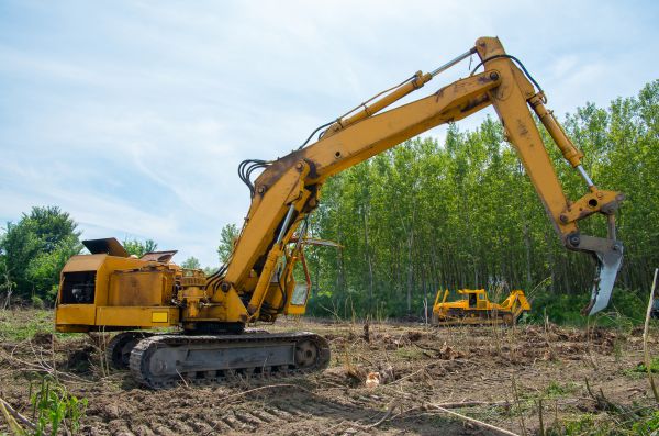 Farm Clearing in Riverton