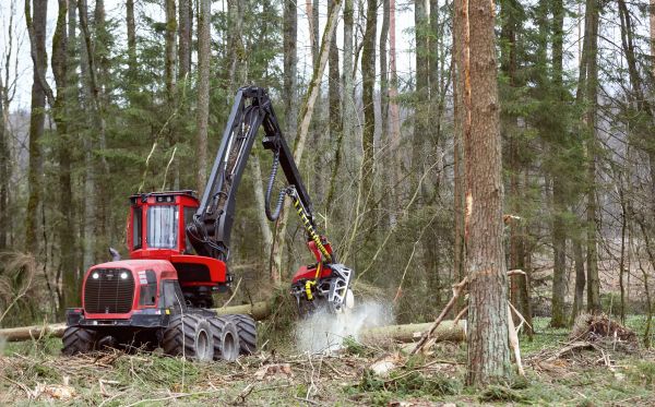 Forest Clearance Service in Riverton