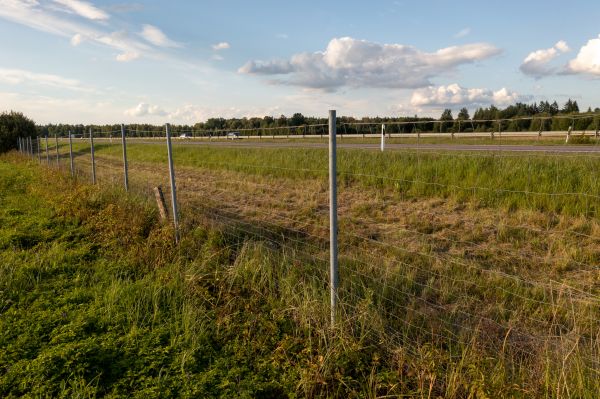 Property Line Clearing in Riverton