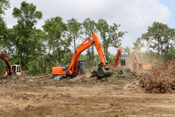Commercial Lot Clearing in Riverton