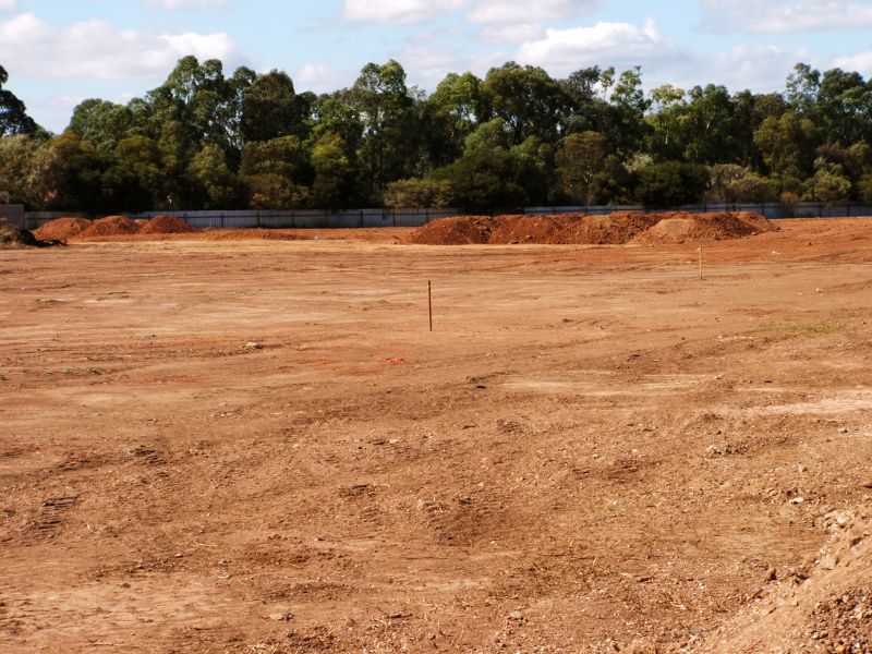 Commercial Site Clearing