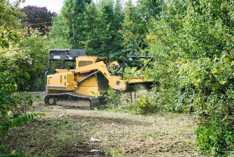 Clearing Land with Heavy Machinery